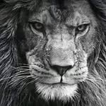 Dan Clairmont - @dnclairmont - Instagram