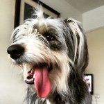 Dan Cliff - @danielcliff - Instagram
