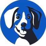 Dan Cliff - @integritycanine - Instagram