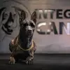 integrity - @dancliff6 - TikTok