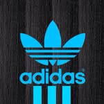 Year 8 - @dan_clowes7 - Instagram