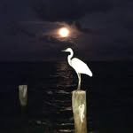 dan cobb - @dancobb55 - Instagram