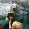 Dan Cobb - @dancobb6 - TikTok
