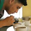 roasters_dan - @dancoffee1 - TikTok
