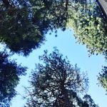 Dan Cogan - @can_dohgan - Instagram