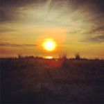 dancoggins609 - @dancoggins609 - Instagram