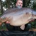Dan Coles - Facebook
