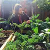 Dan McCollister - @dan.mccollister - TikTok