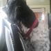 Dan Collum - Facebook