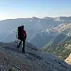 dan.colman - @dan.colman8 - TikTok