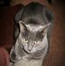 Danny Colson - Facebook