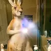 danconde96tiktok.com/@danconde - @danconde96 - TikTok