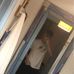 Dan Connelly - Facebook