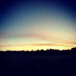 Dan Conners - @danconnerscomedy - Instagram