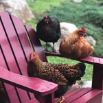 Dan Conners - @dkconners6 - Instagram