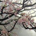 dan constantinescu - @dan_constantinescu1 - Instagram