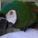 Dan Conway - Facebook