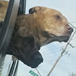 Alexander D. Coolidge - @alexander_dane_coolidge - Instagram