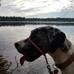 Callie-Coolidge - @dane_calliecoolidge - Instagram
