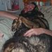 Dan Coombs - Facebook