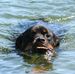 Dan Copley - Facebook