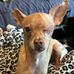 Dan Cordell - Facebook