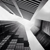 dan_cordell - @dan_cordell - TikTok
