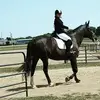 dancorder298 - @dancorder298 - TikTok