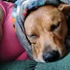 Dan Cordes - @dan.cordes - TikTok