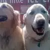 dancordes8 - @dancordes8 - TikTok