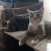 Dan Cottrell - Facebook