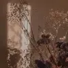 dancowenak.. - @dancowenak07 - TikTok