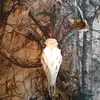 Dan Cox - @dan.cox86 - TikTok
