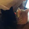 danacraddockryan - @danacraddockryan - TikTok