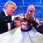 cRaNkY.DaNk.mEmeS - @cranky.dank.memes - Instagram