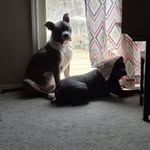 Dan Crank - @dncrank9 - Instagram