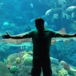 Dan Croak - @ninjacop13 - Instagram