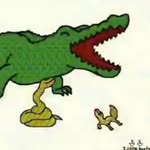 @daily_crocodile_dance - Instagram