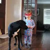 dancing_crocodile - @dancing_crocodile - TikTok