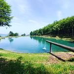 Daniele Castellazzi - @dani_crocodile - Instagram