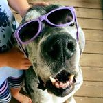 Dan Croft - @dan.croft.14 - Instagram