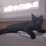 Dan Croitoru - Facebook