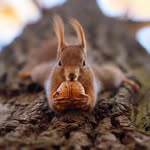 Dan Croitoru - @dcroitoru80 - Instagram