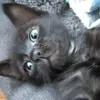 Dan Croitoru - @dan.croitoru5 - TikTok
