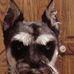 Daniel Cronk - Facebook