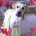 Danielle Croston - Facebook