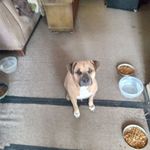 Dan Crouse - @dancrouse8 - Instagram