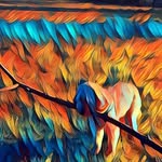 Dan Crow - @dannycrowauthor - Instagram