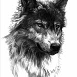 Dan Crowder - @duskwolf9 - Instagram