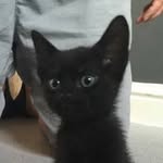 Dan Crowder - @dan_crowder1 - Instagram
